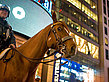 Foto Times Square - New York