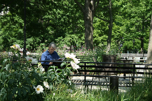 Foto von Citysam Impressionen Sehenswürdigkeit von New York Entspannung im Battery Park