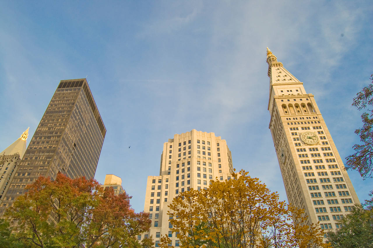 Fotos Madison Square Park | New York