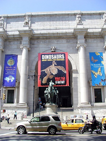 American Museum of Natural History - New York (New York)