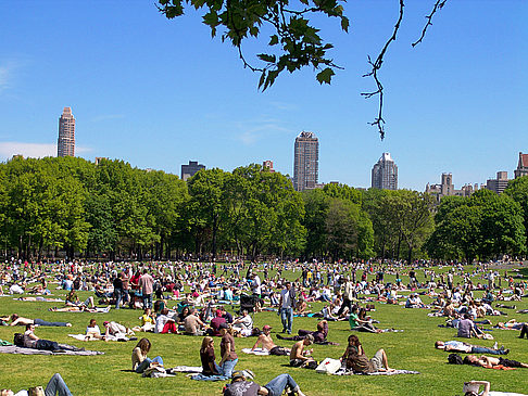 Central Park